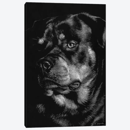 Canine Scratchboard XII Canvas Print #JTC60} by Julie T. Chapman Canvas Art Print