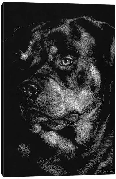 Canine Scratchboard XII Canvas Art Print - Black & Dark Art