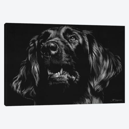 Canine Scratchboard XV Canvas Print #JTC63} by Julie T. Chapman Canvas Art Print