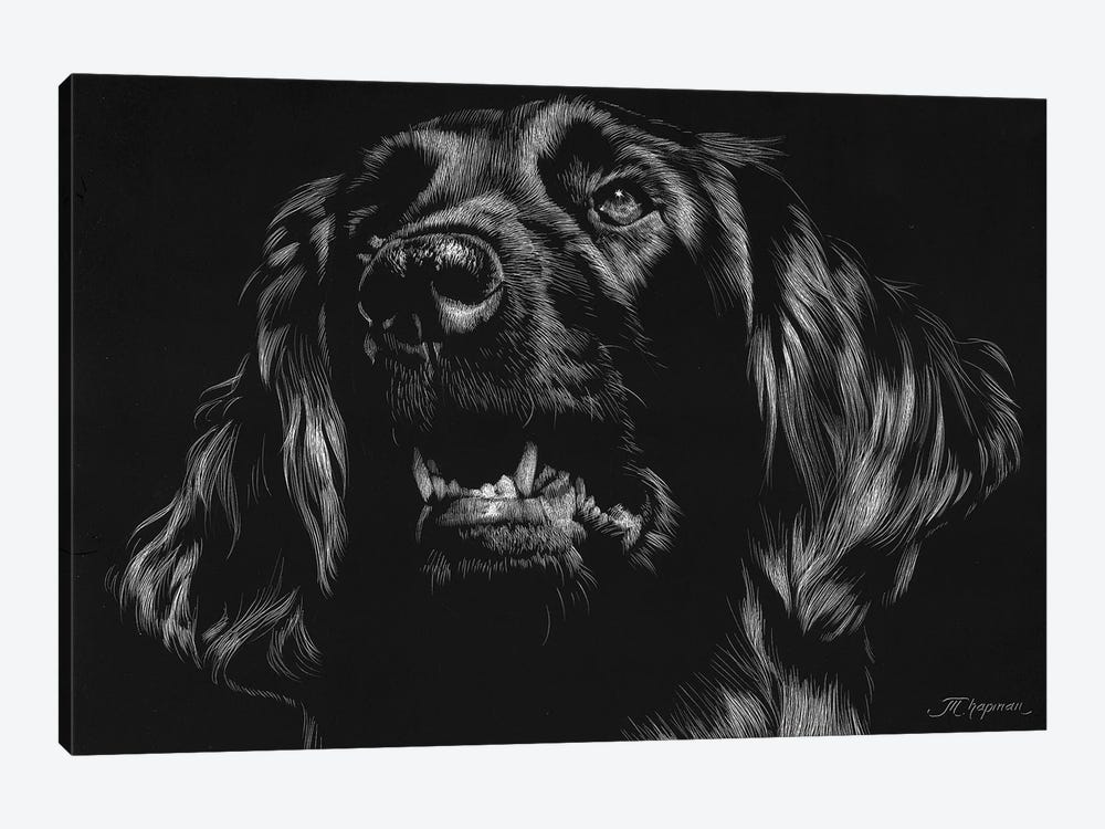 Canine Scratchboard XV by Julie T. Chapman 1-piece Canvas Art
