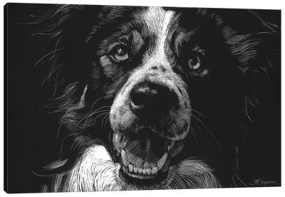 Canine Scratchboard XVIII Canvas Art Print - Julie T. Chapman