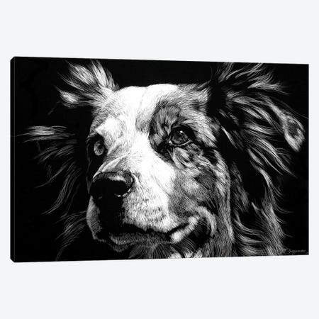 Canine Scratchboard XX Canvas Print #JTC65} by Julie T. Chapman Canvas Artwork