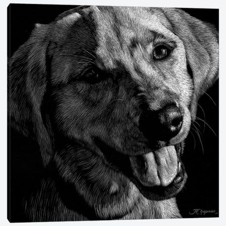 Canine Scratchboard XXIII Canvas Print #JTC66} by Julie T. Chapman Canvas Artwork