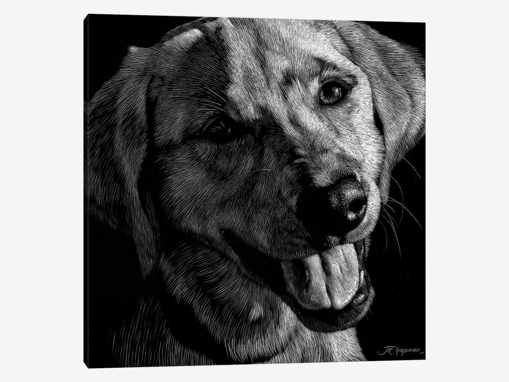 Canine Scratchboard XXIII 1-piece Art Print