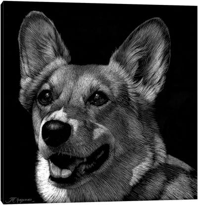 Canine Scratchboard XXIX Canvas Art Print
