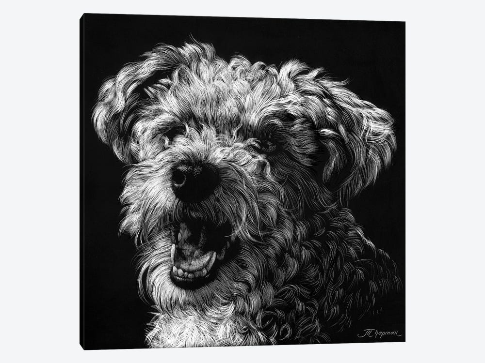 Canine Scratchboard XXV 1-piece Art Print