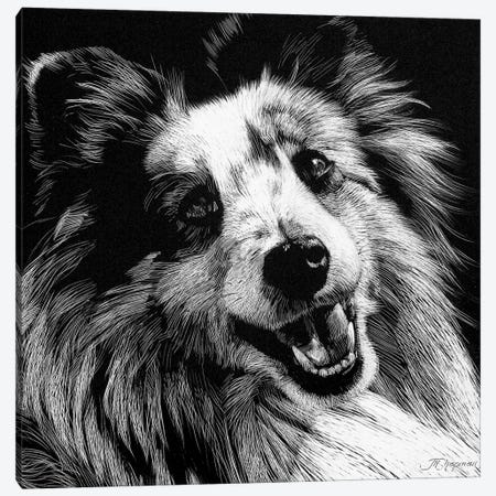 Canine Scratchboard XXVI Canvas Print #JTC69} by Julie T. Chapman Canvas Art Print