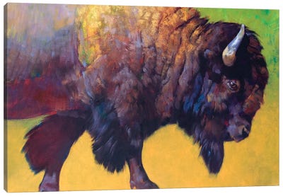 Da Bull Canvas Art Print - Julie T. Chapman