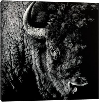 Enduring III Canvas Art Print - Bison & Buffalo Art