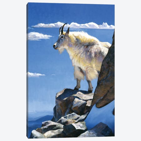 Rocky Mountain High Canvas Print #JTC77} by Julie T. Chapman Art Print