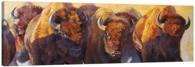 Wall Of Thunder Canvas Art Print - Bison & Buffalo Art