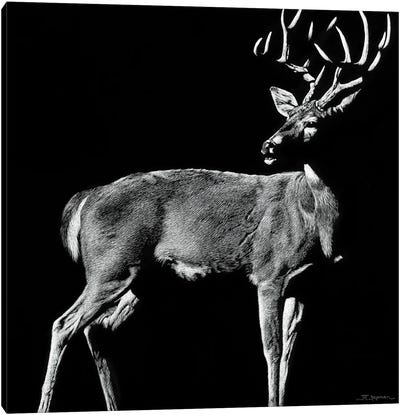 The Prize Canvas Art Print - Antelopes