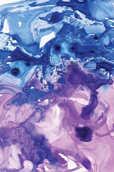 Imaginary Lands II by Joy Ting canvas print