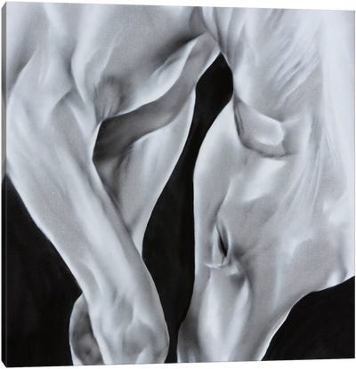 Equus Canvas Art Print