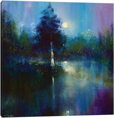 The Secret Lake Canvas Art Print - Jennifer Taylor
