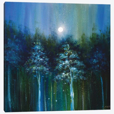 Ethereal Woods Canvas Print #JTL104} by Jennifer Taylor Canvas Art Print