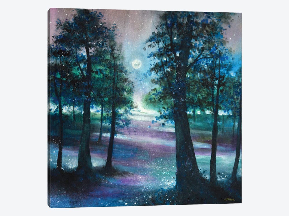 Moonlight Serenade II by Jennifer Taylor 1-piece Art Print