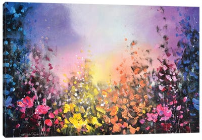 Colours Of The Night Canvas Art Print - Jennifer Taylor