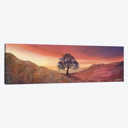 Stars And Light Over Sycamore Gap Canvas Print #JTL128} by Jennifer Taylor Canvas Art