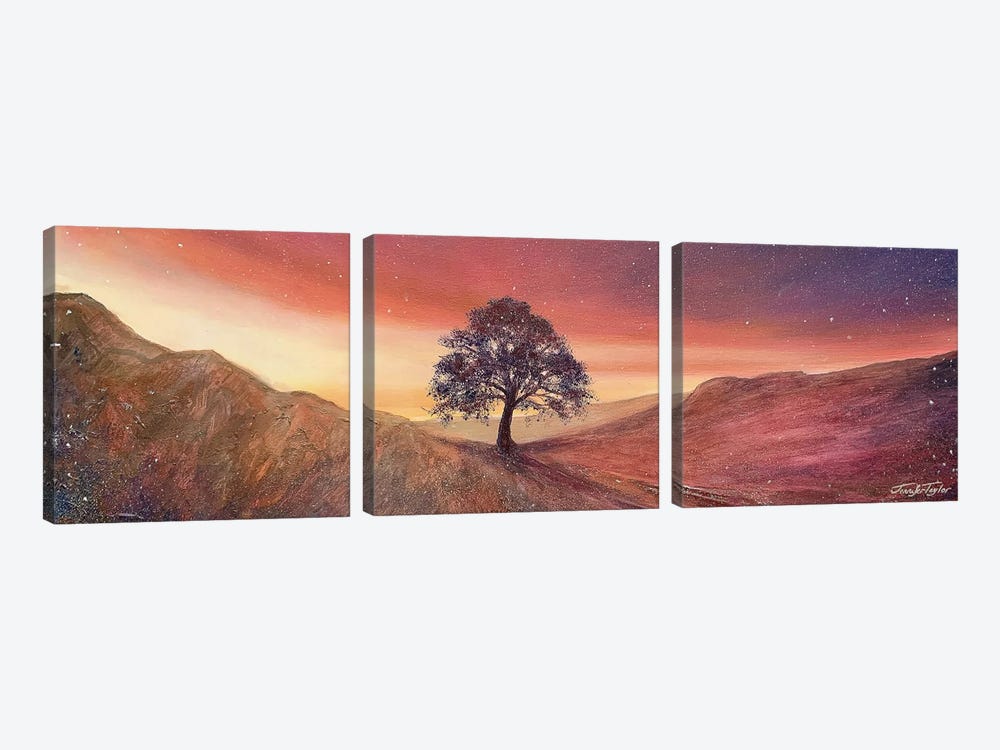 Stars And Light Over Sycamore Gap by Jennifer Taylor 3-piece Canvas Artwork