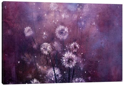 Gentle Dandelions Canvas Art Print - Jennifer Taylor