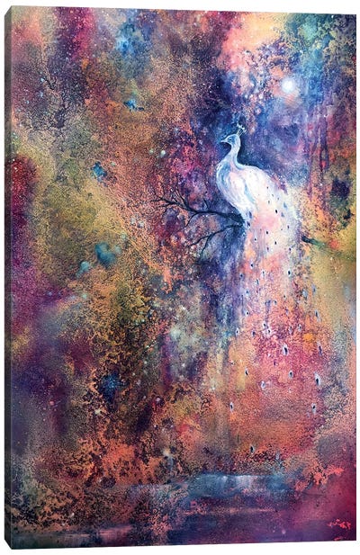Peacock Canvas Art Print - Jennifer Taylor