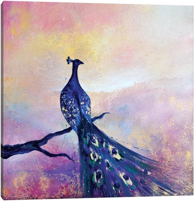 Peacock II Canvas Art Print - Jennifer Taylor