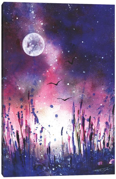 Moonlight Kingdom Canvas Art Print - Jennifer Taylor