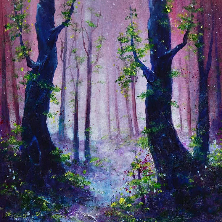 Dusky Woods