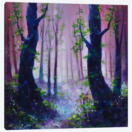 Dusky Woods Canvas Print #JTL74} by Jennifer Taylor Canvas Wall Art