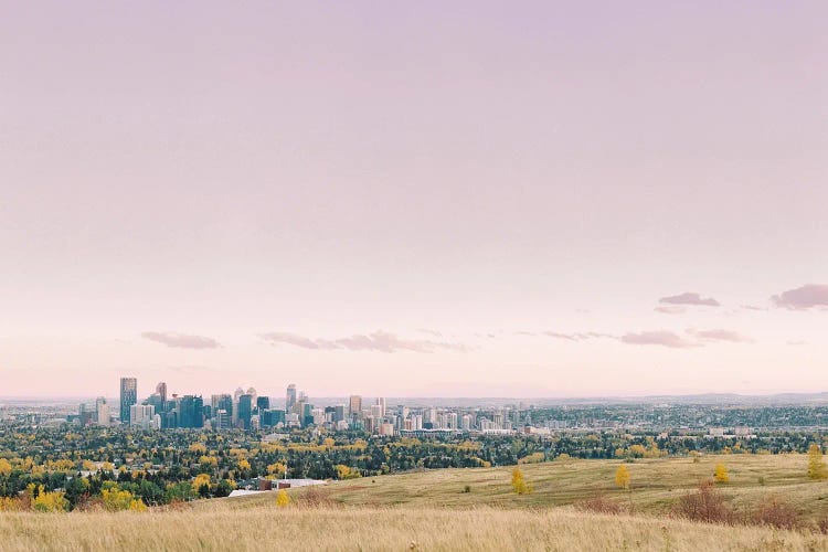 Distant Skyline Views