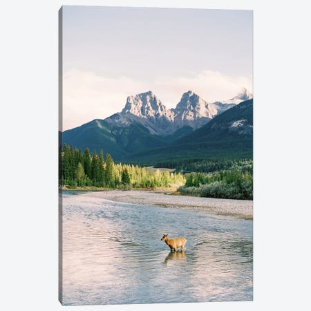 River Crossing In Banff Canvas Print #JTM22} by Justine Milton Canvas Art Print
