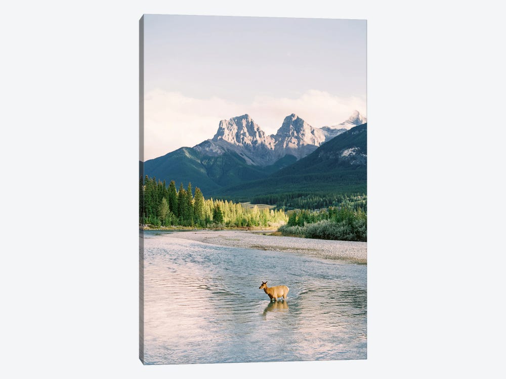 River Crossing In Banff by Justine Milton 1-piece Canvas Wall Art