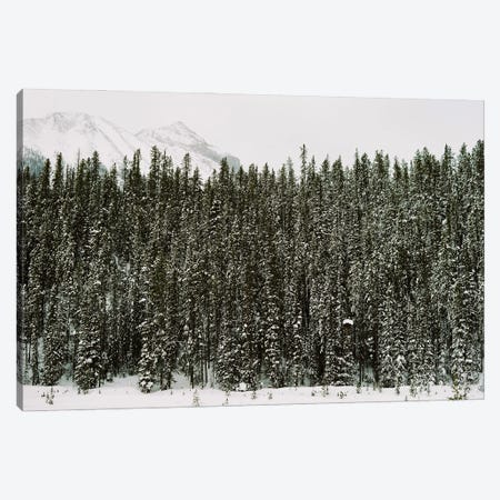 Winter Snow Canvas Print #JTM26} by Justine Milton Canvas Wall Art