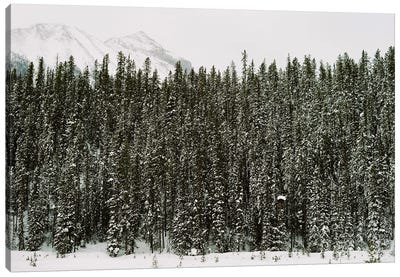 Winter Snow Canvas Art Print - Justine Milton