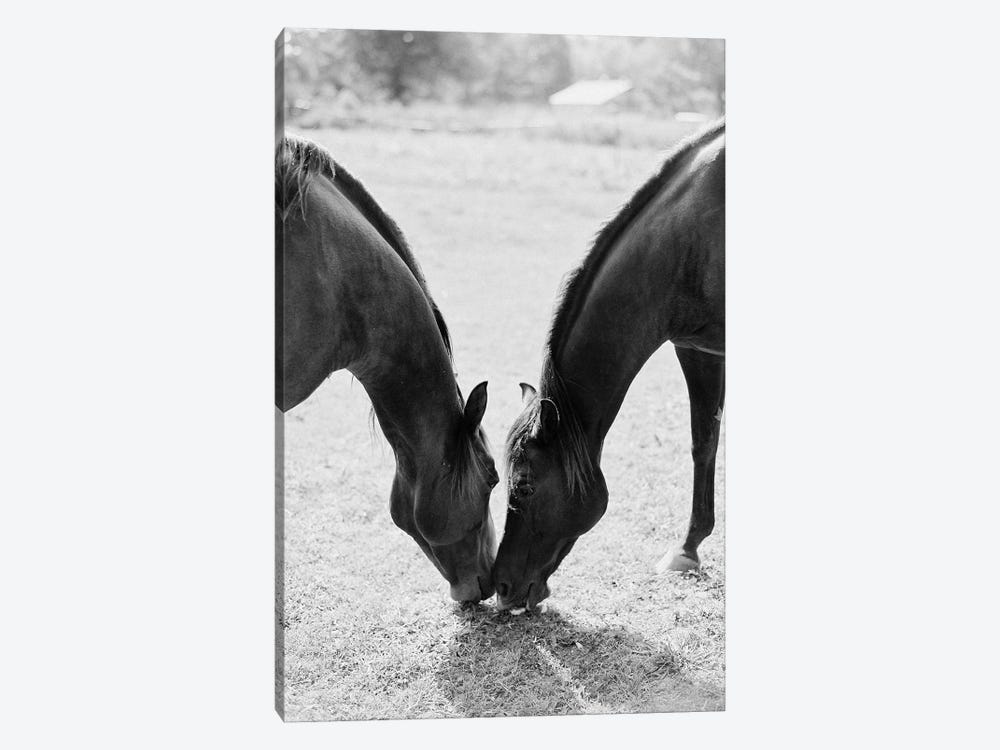 Horses Sharing by Justine Milton 1-piece Art Print