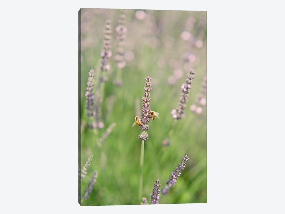 Bees Natural Habitat by Justine Milton 1-piece Canvas Print