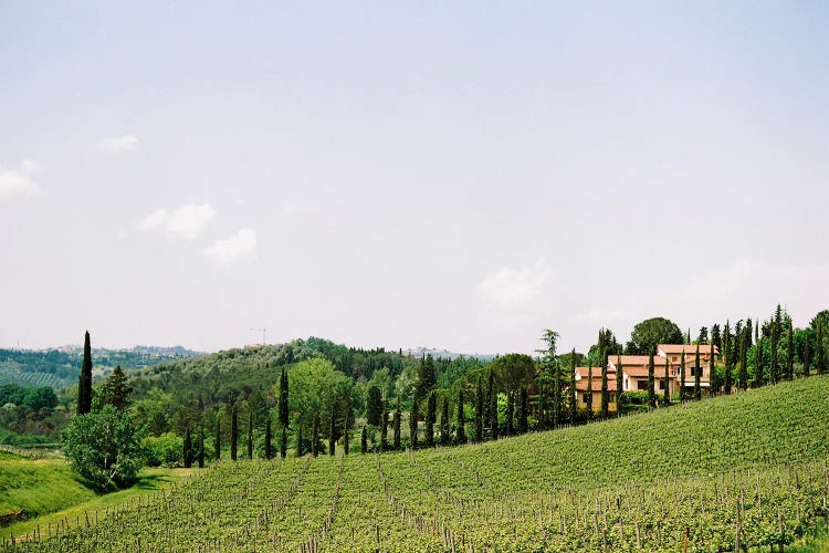 Classic Mid-Day Tuscany