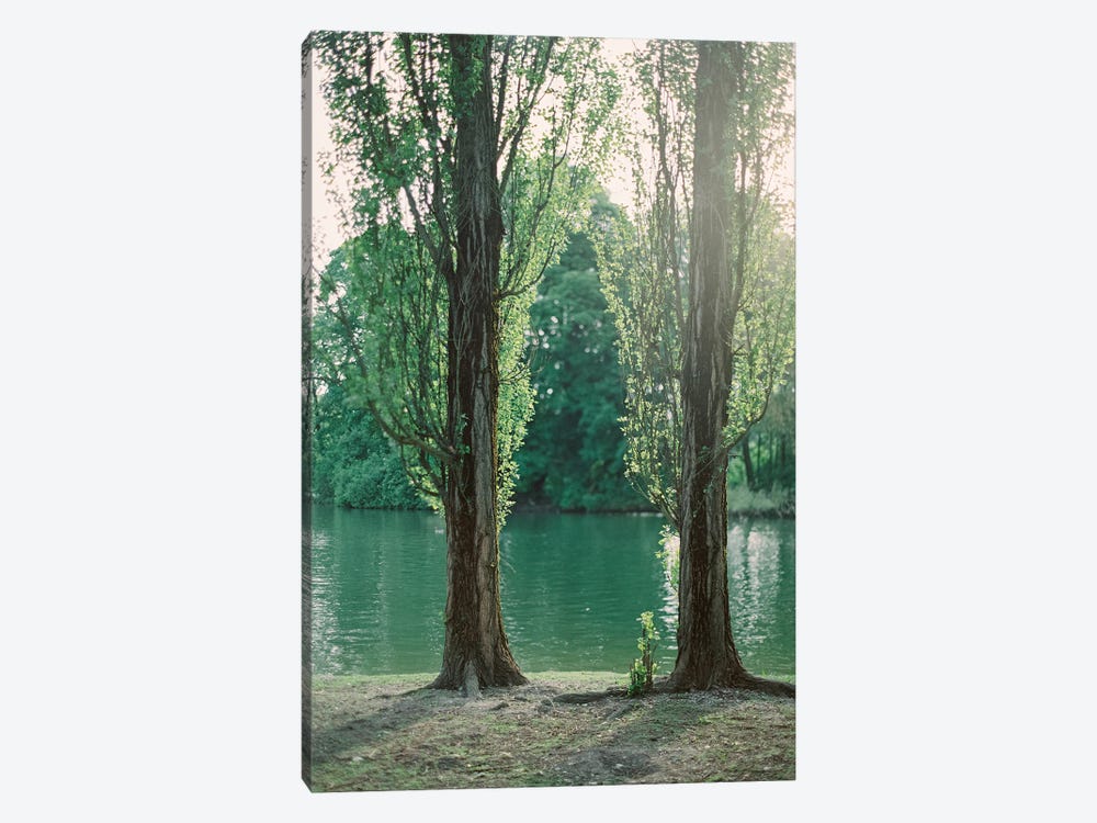 Lake Side Trees by Justine Milton 1-piece Canvas Wall Art