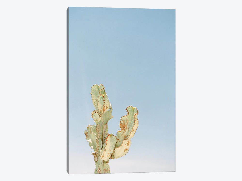 Lone Cactus by Justine Milton 1-piece Canvas Print