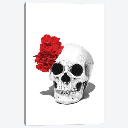 Skull & Red Carnation Black & White Canvas Print #JTN100} by Jonathan Brooks Canvas Art Print