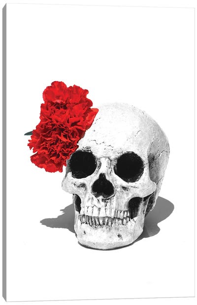 Skull & Red Carnation Black & White Canvas Art Print - Jonathan Brooks