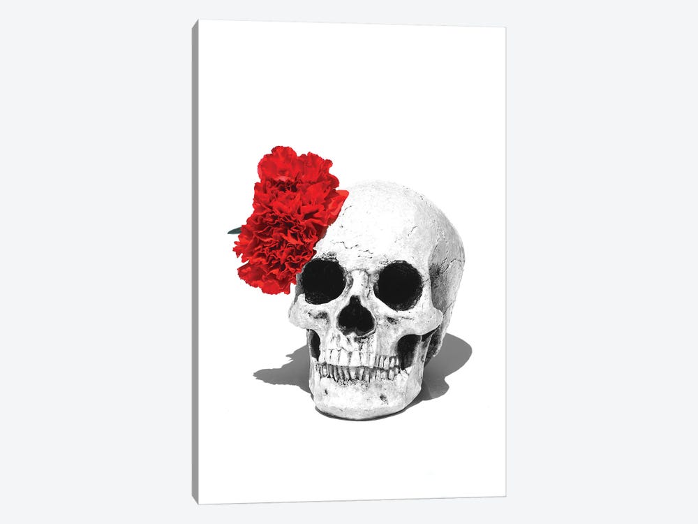 Skull & Red Carnation Black & White by Jonathan Brooks 1-piece Canvas Art