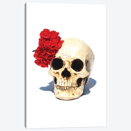 Skull & Red Carnation Canvas Print #JTN101} by Jonathan Brooks Canvas Art Print