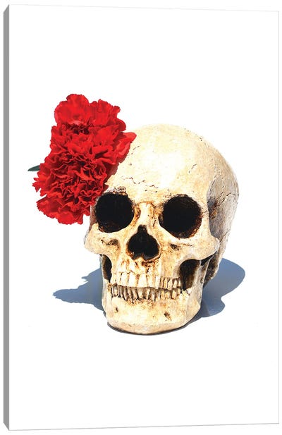 Skull & Red Carnation Canvas Art Print - Jonathan Brooks