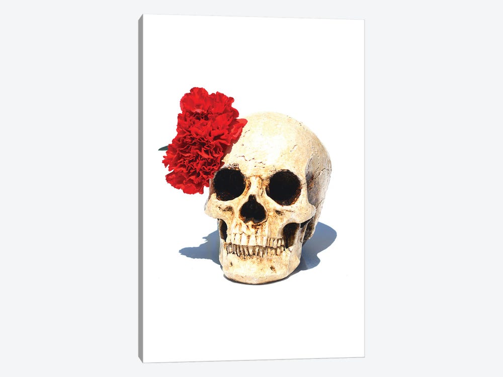 Skull & Red Carnation by Jonathan Brooks 1-piece Canvas Art Print