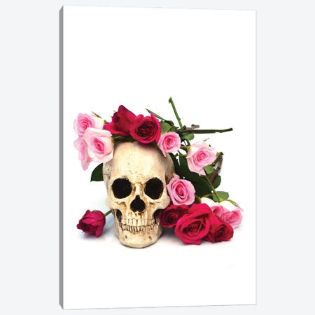 Skull & Pink & Red Roses Canvas Print #JTN104} by Jonathan Brooks Canvas Wall Art