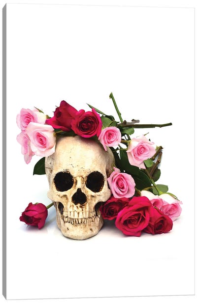 Skull & Pink & Red Roses Canvas Art Print - Jonathan Brooks