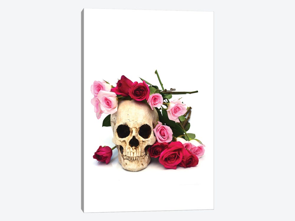 Skull & Pink & Red Roses by Jonathan Brooks 1-piece Canvas Wall Art