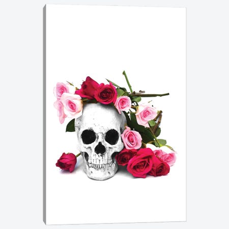 Skull & Pink & Red Roses Black & White Canvas Print #JTN105} by Jonathan Brooks Canvas Wall Art